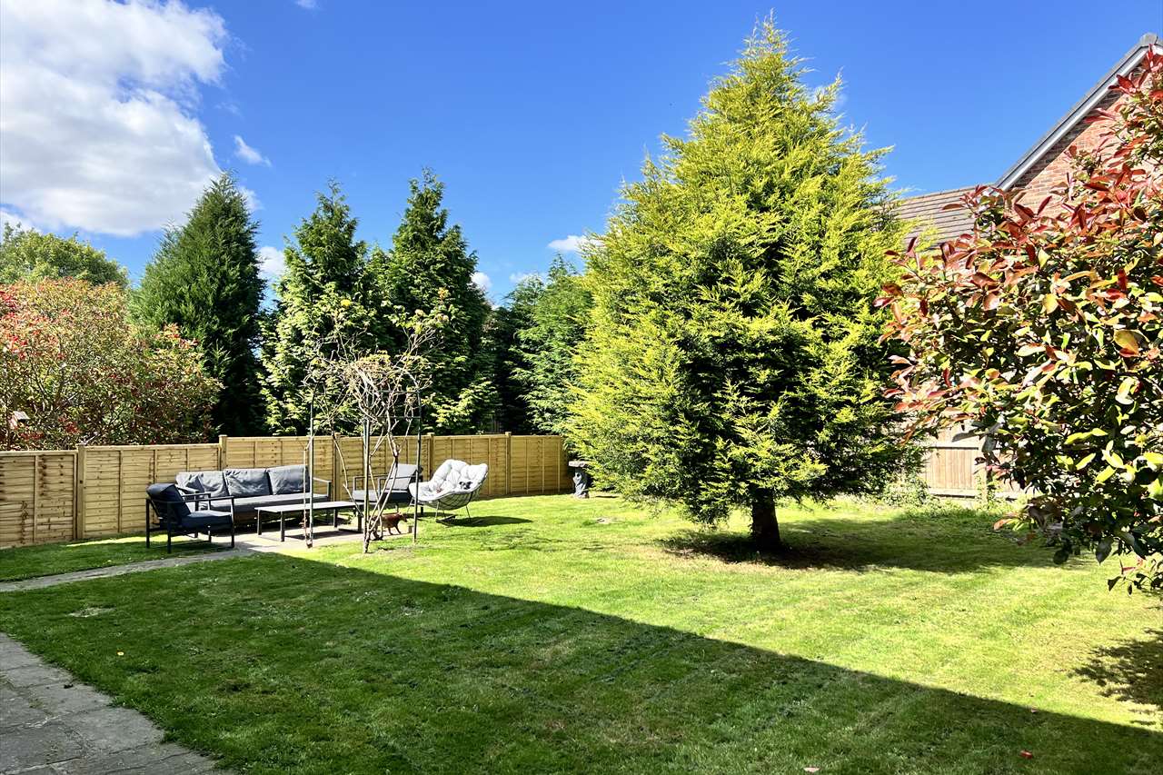 Our large, secure back garden: a lawn with a seating area, trees and high fences